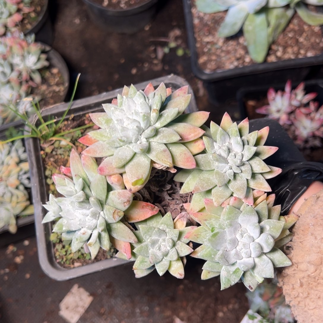 5061哈哈哈哈哈哈哈