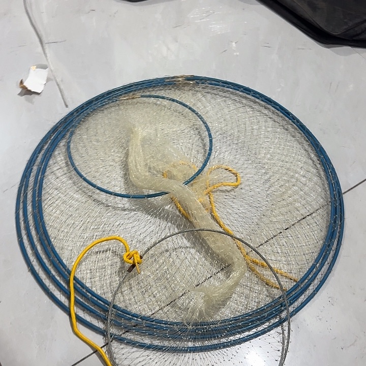 随机发两个鱼护11111