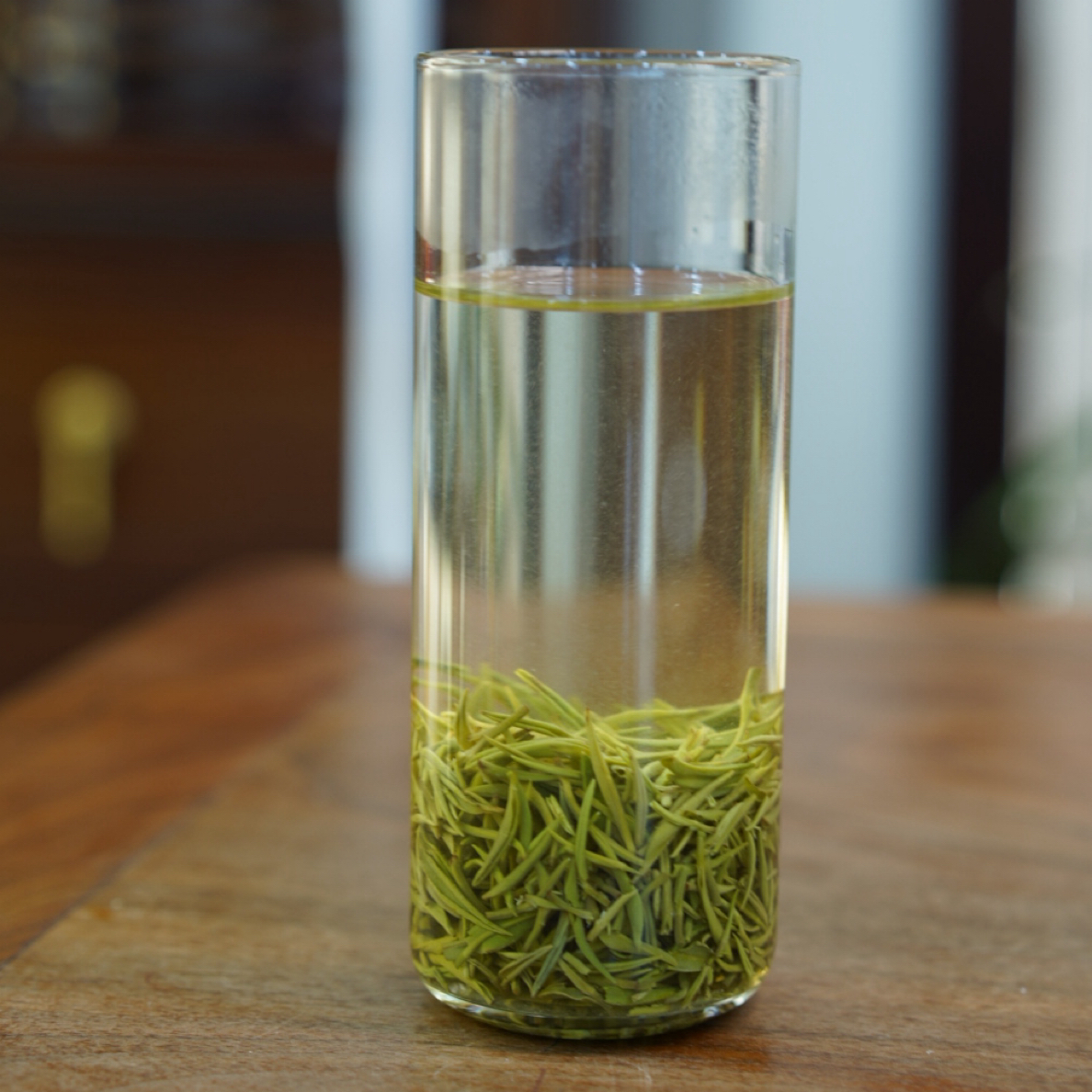 豫中茗2025年信阳毛尖白露高山精选小芽