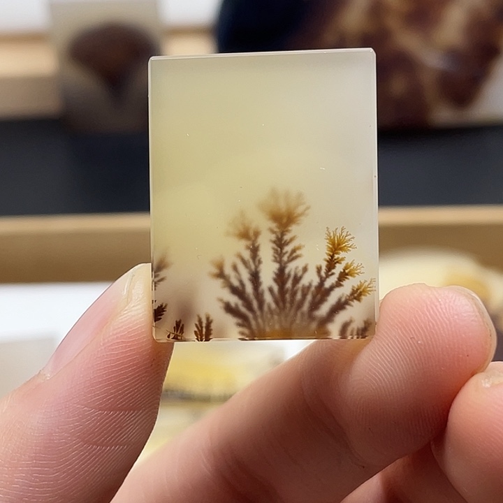 泽***玛瑙/玉髓未镶嵌颈饰