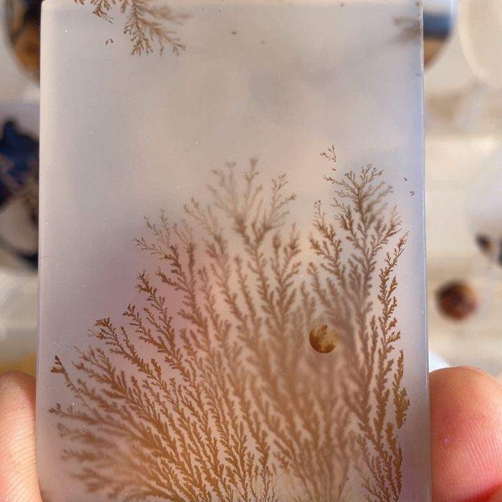 未镶嵌吊坠(不含链)玛瑙/玉髓