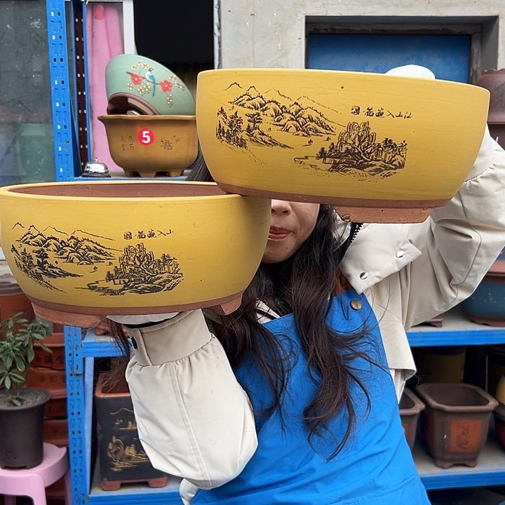 黄色江山如画中一对花盆花盆花盆