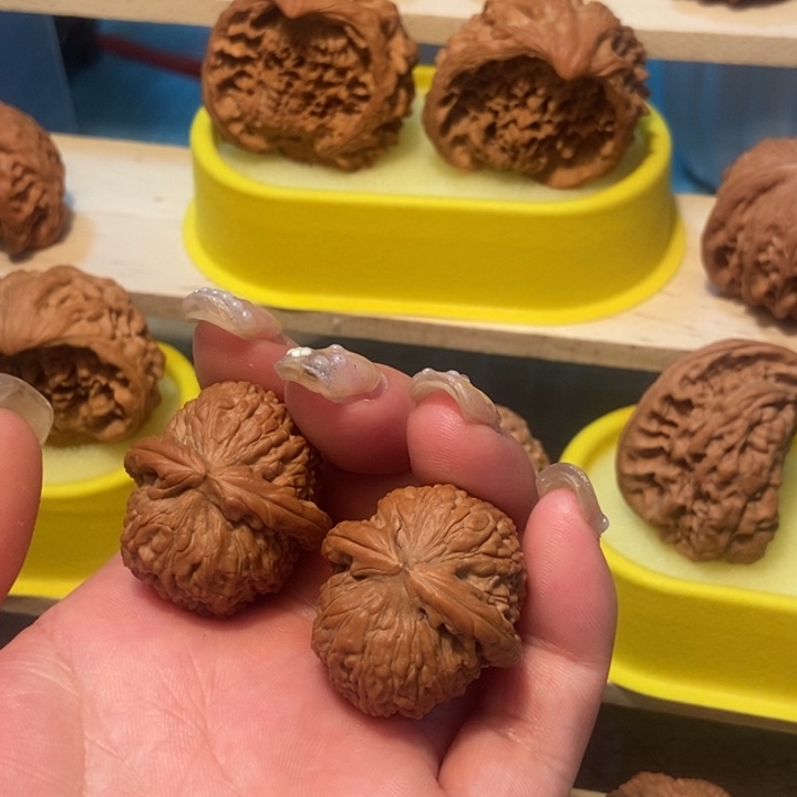 官方网站发布消息显示