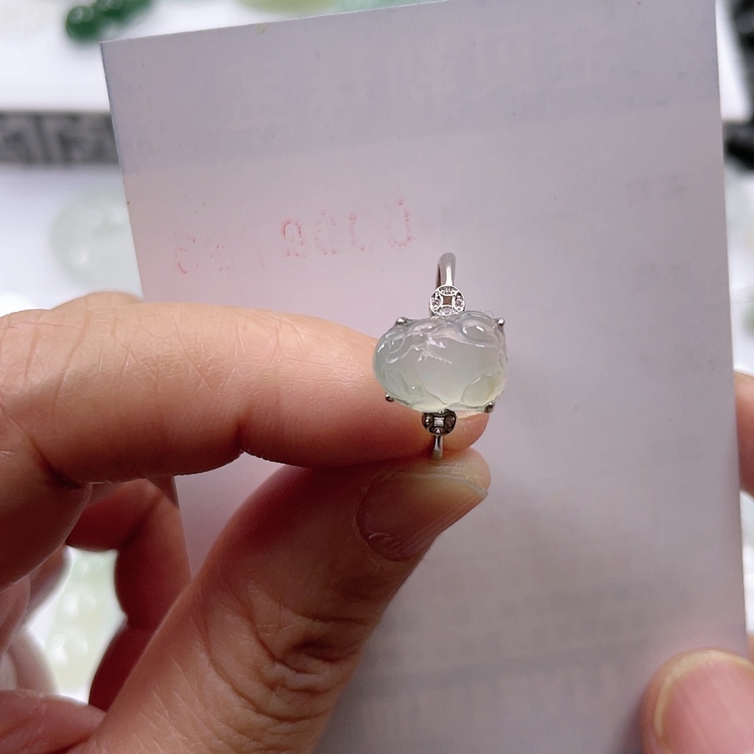 翡翠颈饰未镶嵌貔貅戒指