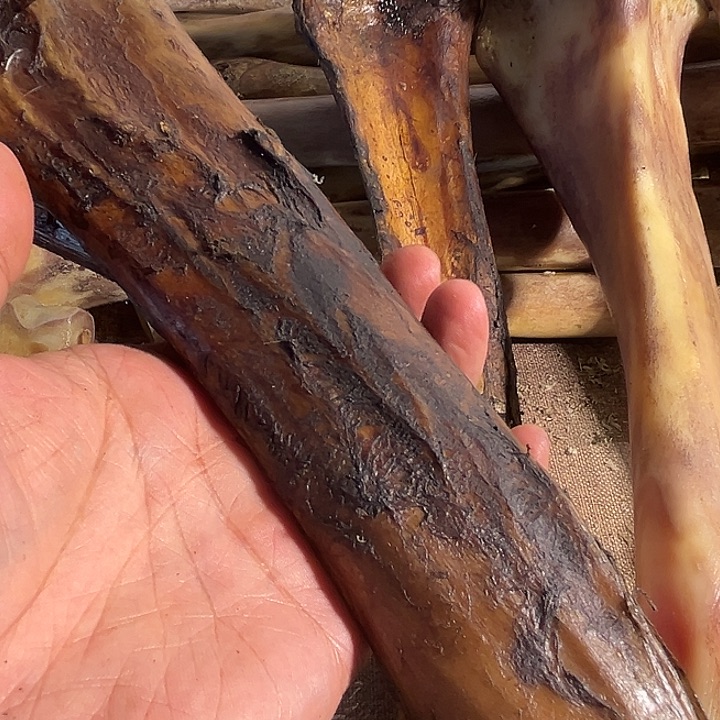 娱****官ZXhu大骨头棒子大骨头棒子