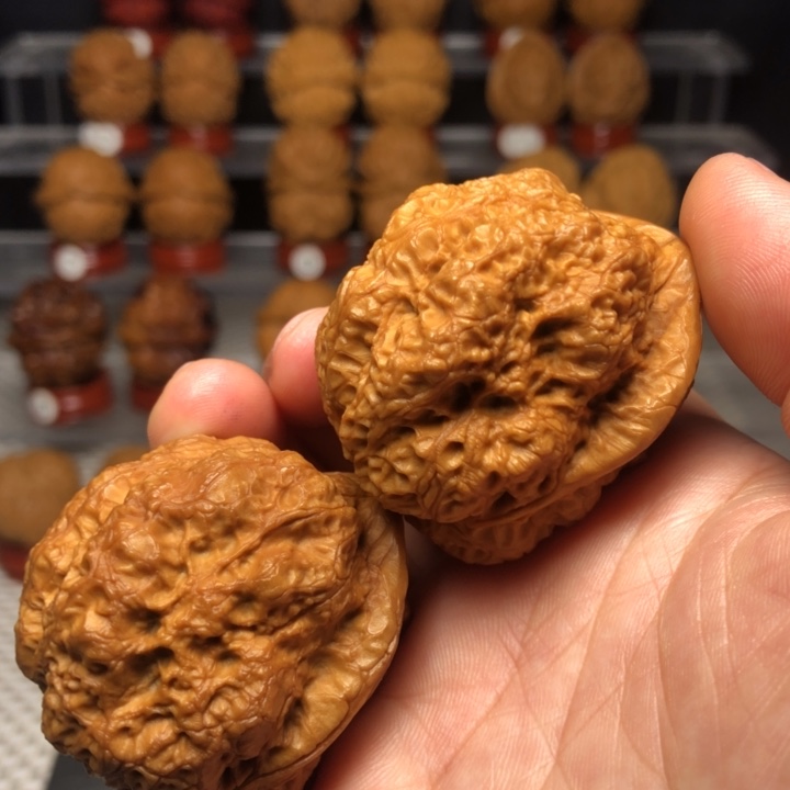 文玩核桃把件12九五帝皇蟾