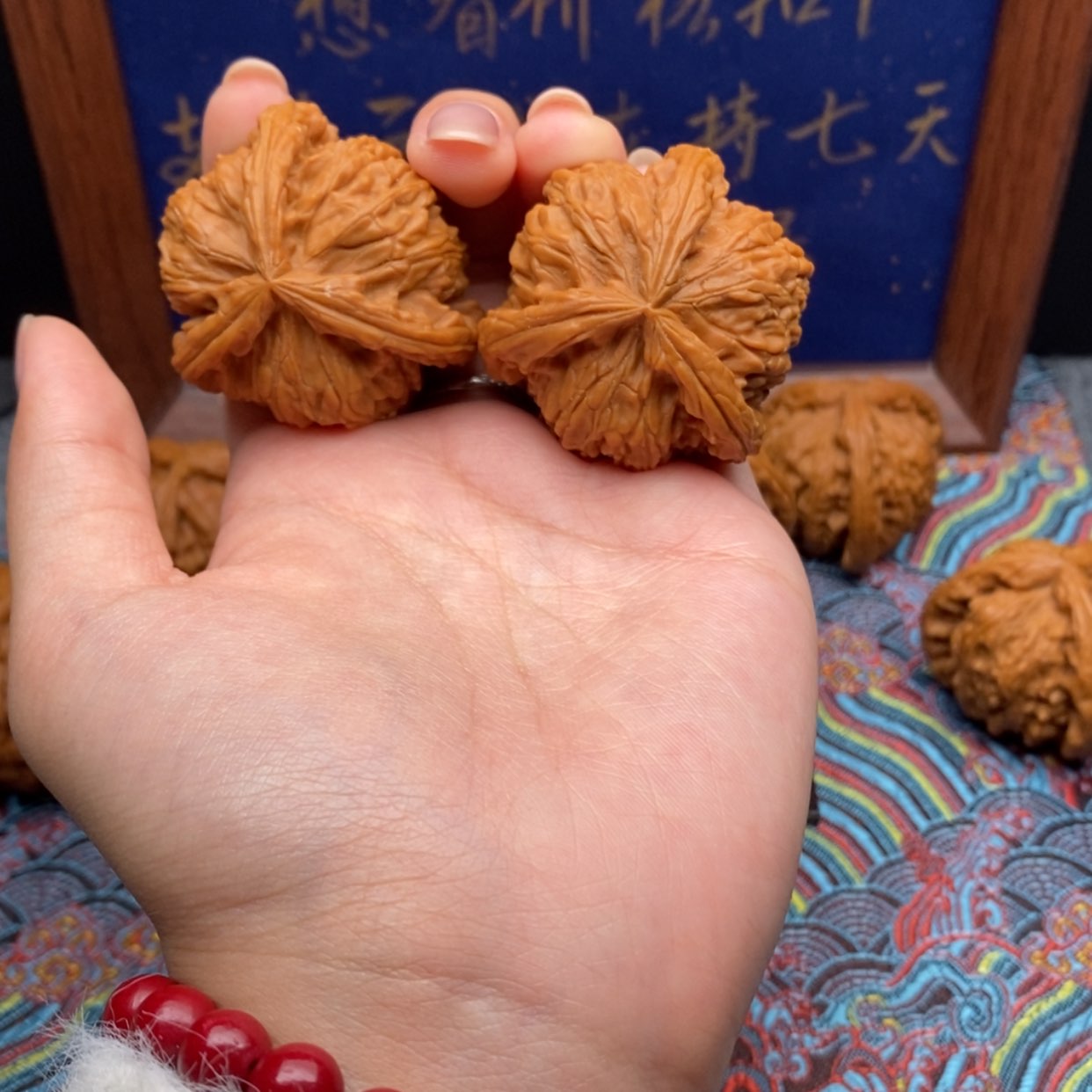 【闪购商品】P****k白狮