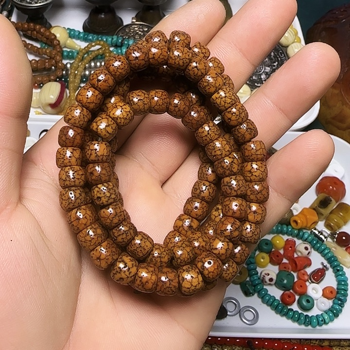 一条星月11112222尔甲