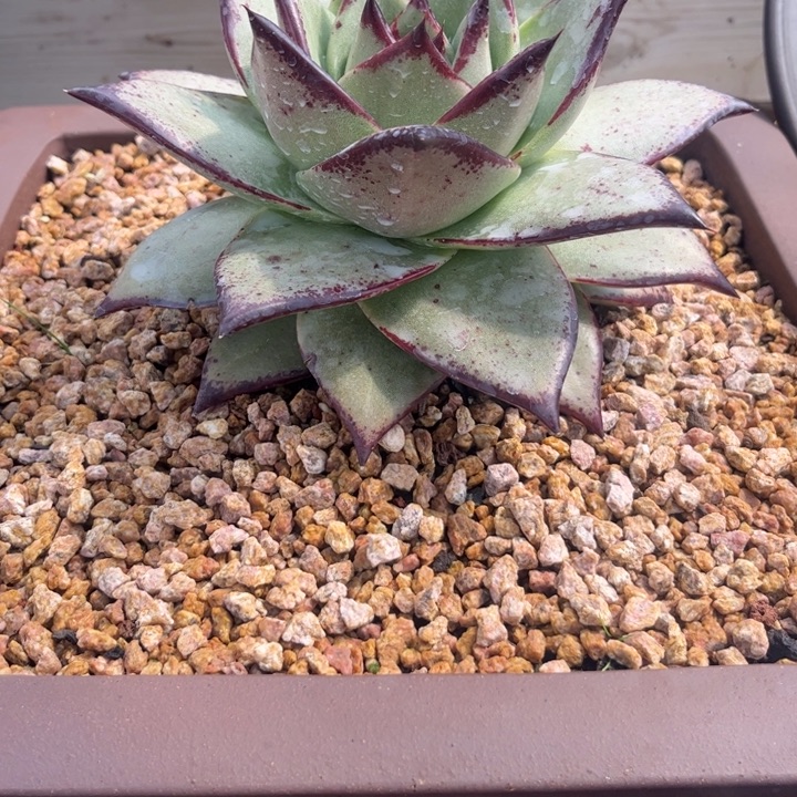 发愤图强11111111111