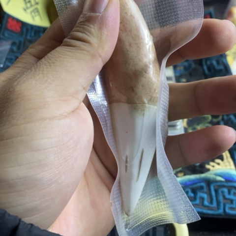 陶官方链接放心拍