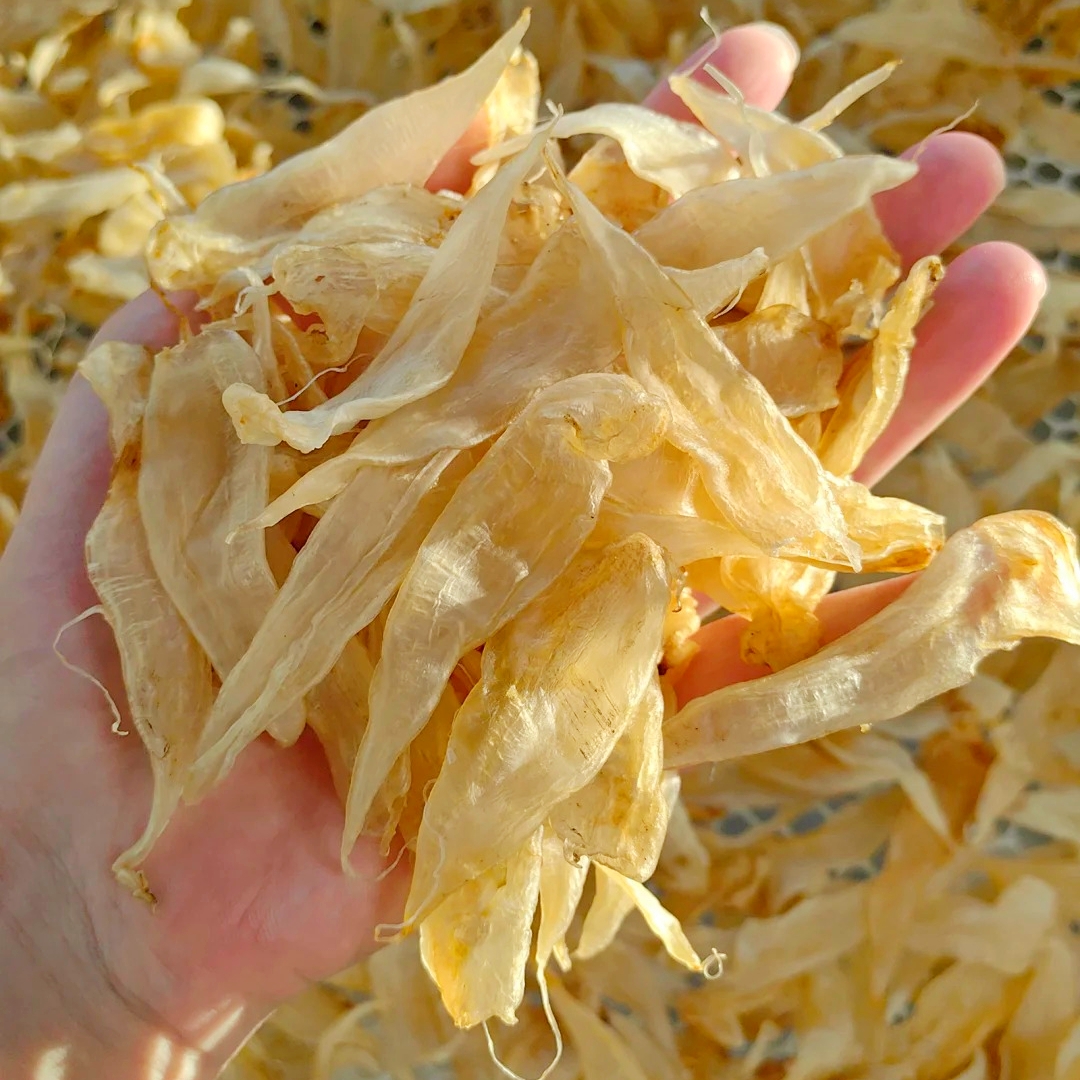 南澳畅海阁君姐-精选500多头豆仁胶 孩子胶好吃不腥 营养好吃