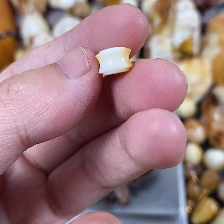 琥珀未镶嵌裸石我