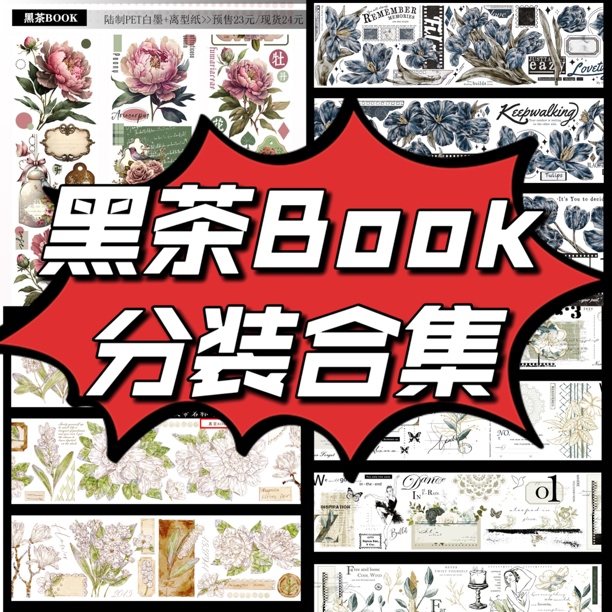 黑茶BOOK VOL.7青苹果春日游园春日少女随手撕复古手帐胶带现货