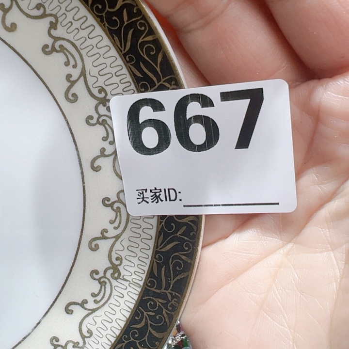 瓷片素*Gxoocgocggoccg