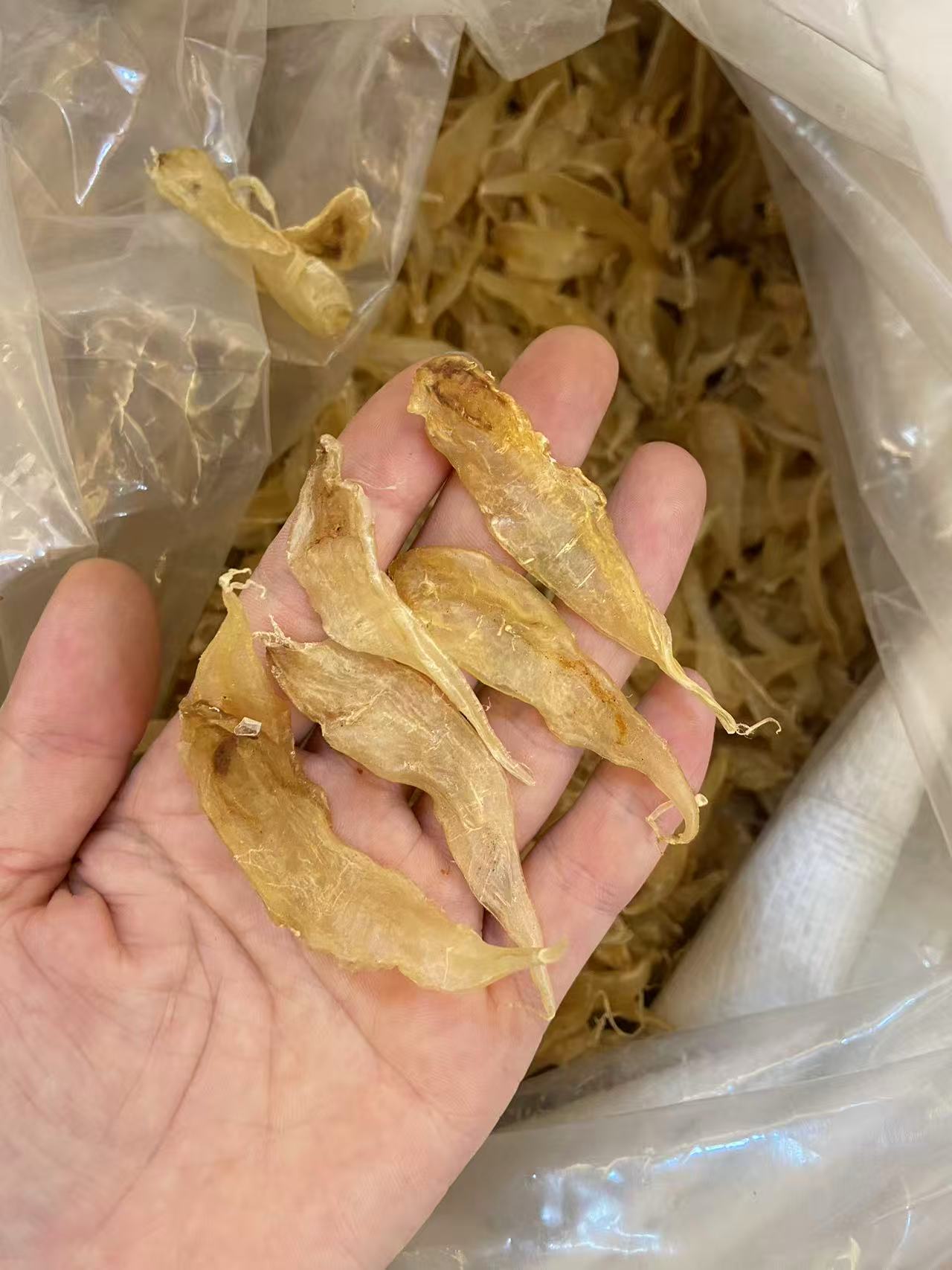 广东汕头-小豆仁公鱼胶花胶断鱼胶干货代拍链接，煲汤250-500g