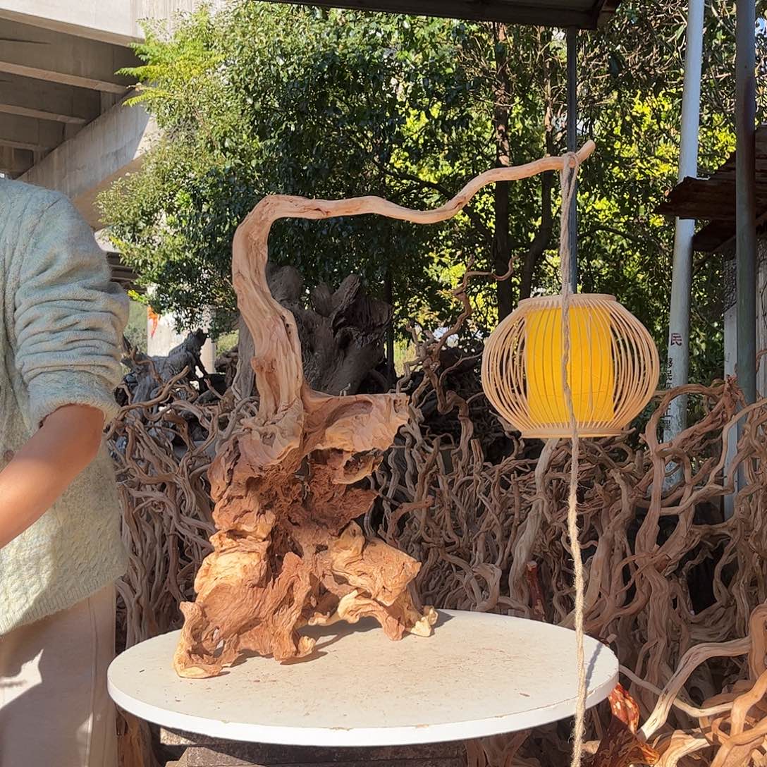 未***秋木我是一只小小鸟