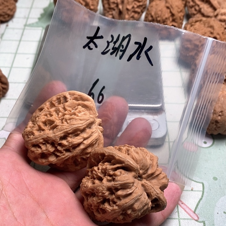 文玩核桃把件太*水核桃