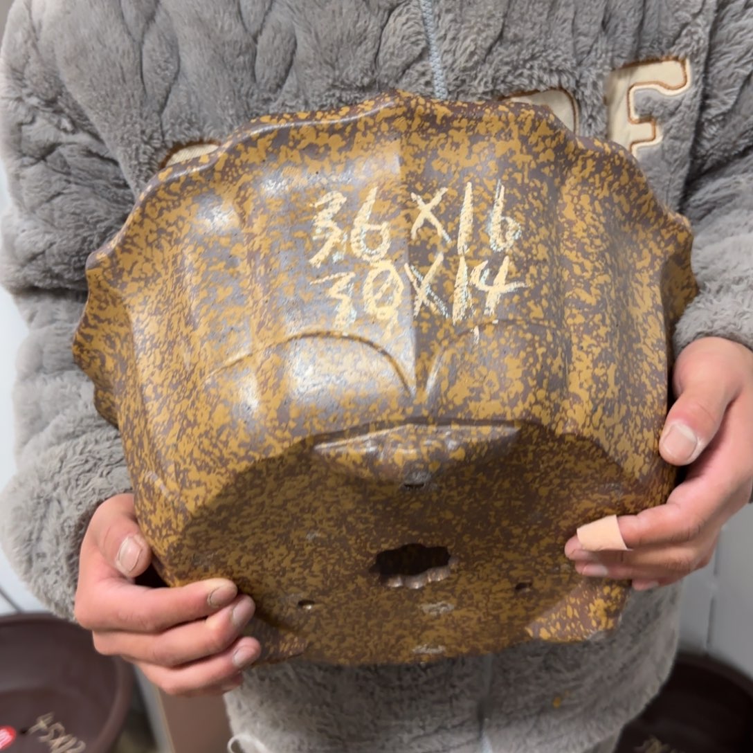 紫砂花盆呜呜呜呜