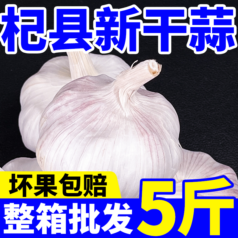 【今天拍，明天到】正宗杞县大蒜紫白皮大蒜蒜头农家自种2025年新干蒜