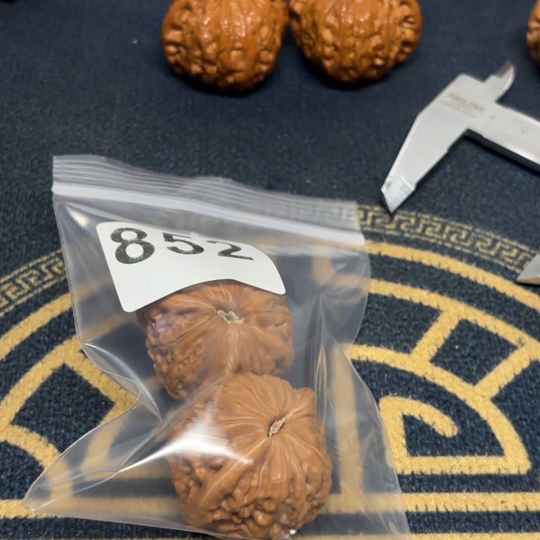 文玩核桃吊坠铁锤852