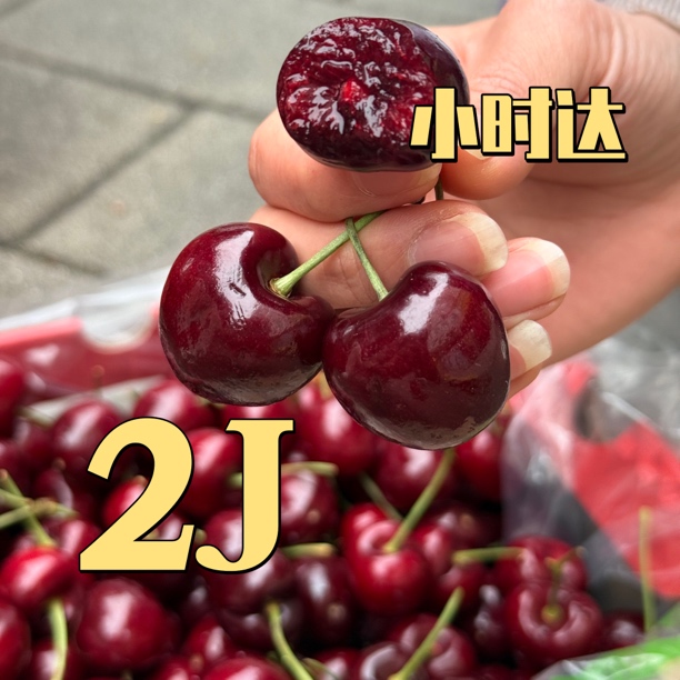 智利海运车厘子单JJ（2-5斤）桑提娜智利