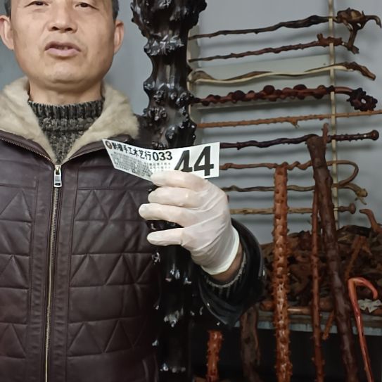 工***人香榧木高山 檬子木文玩料
