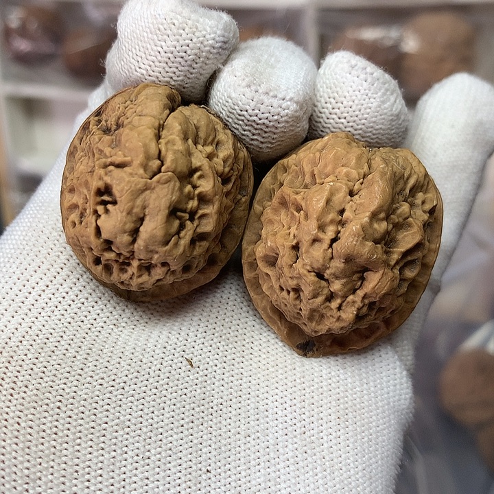 核桃狂野爆米花11号