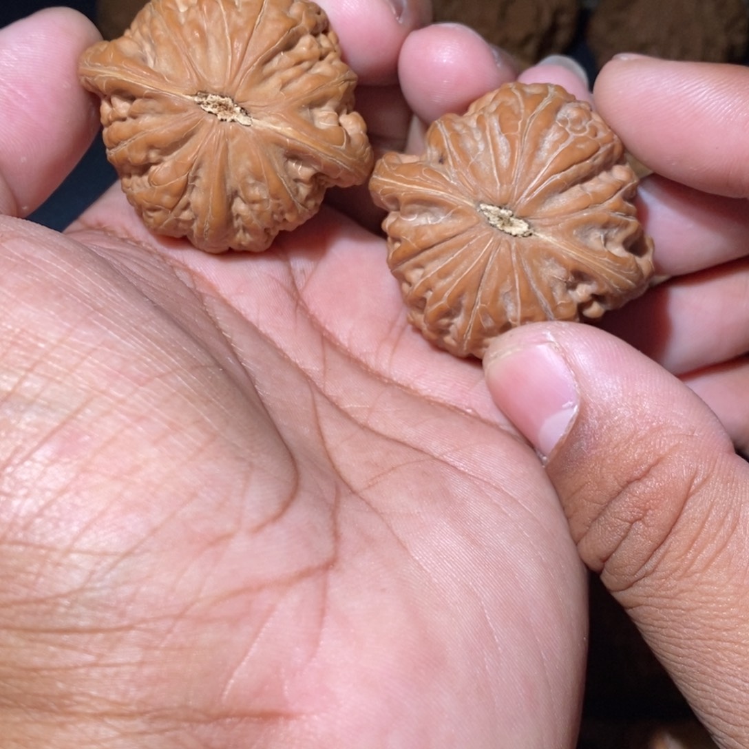 布***歪吊坠文玩核桃44尺寸铁锤妹妹