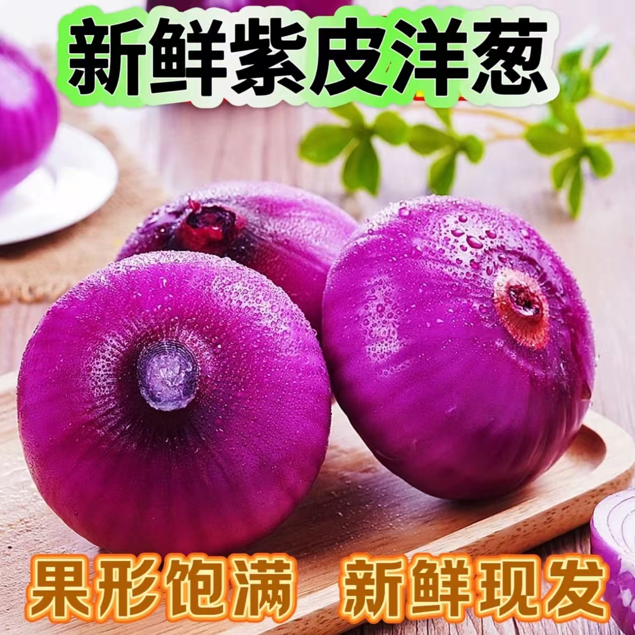 新鲜现挖紫皮洋葱可生吃适合炒菜凉拌的蔬菜