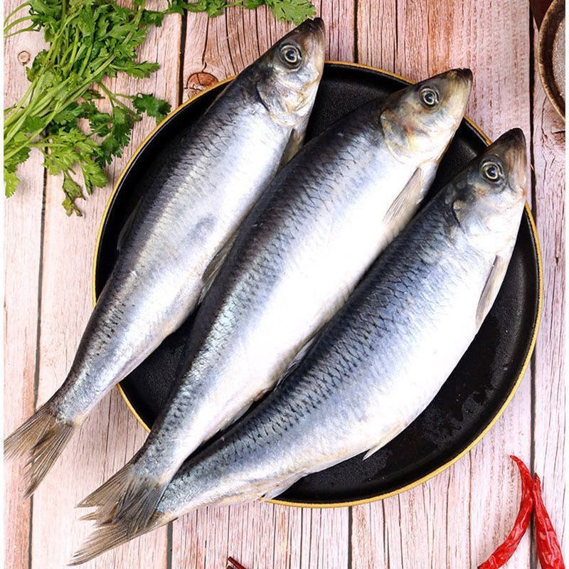 大连发货野生青鱼 公体 沙丁鱼 4斤顺丰包邮