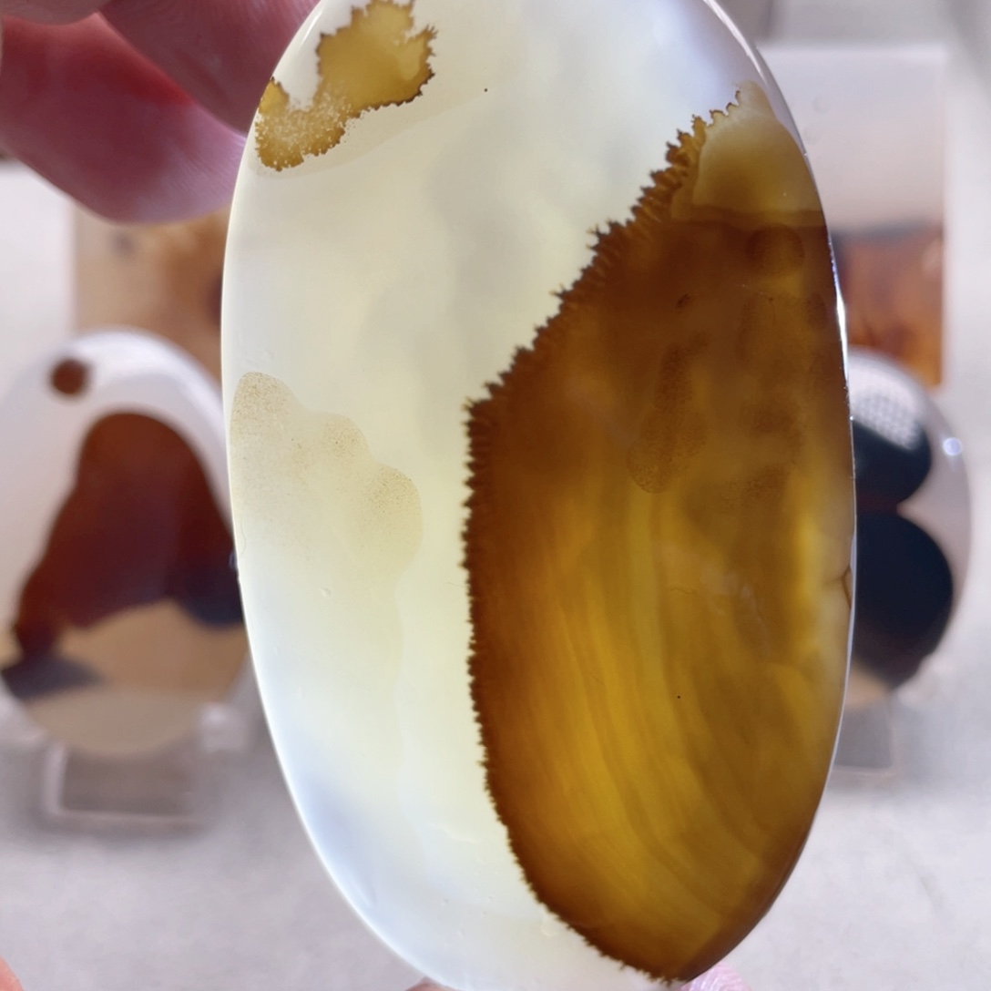 【闪购商品】玛瑙/玉髓颈饰合金