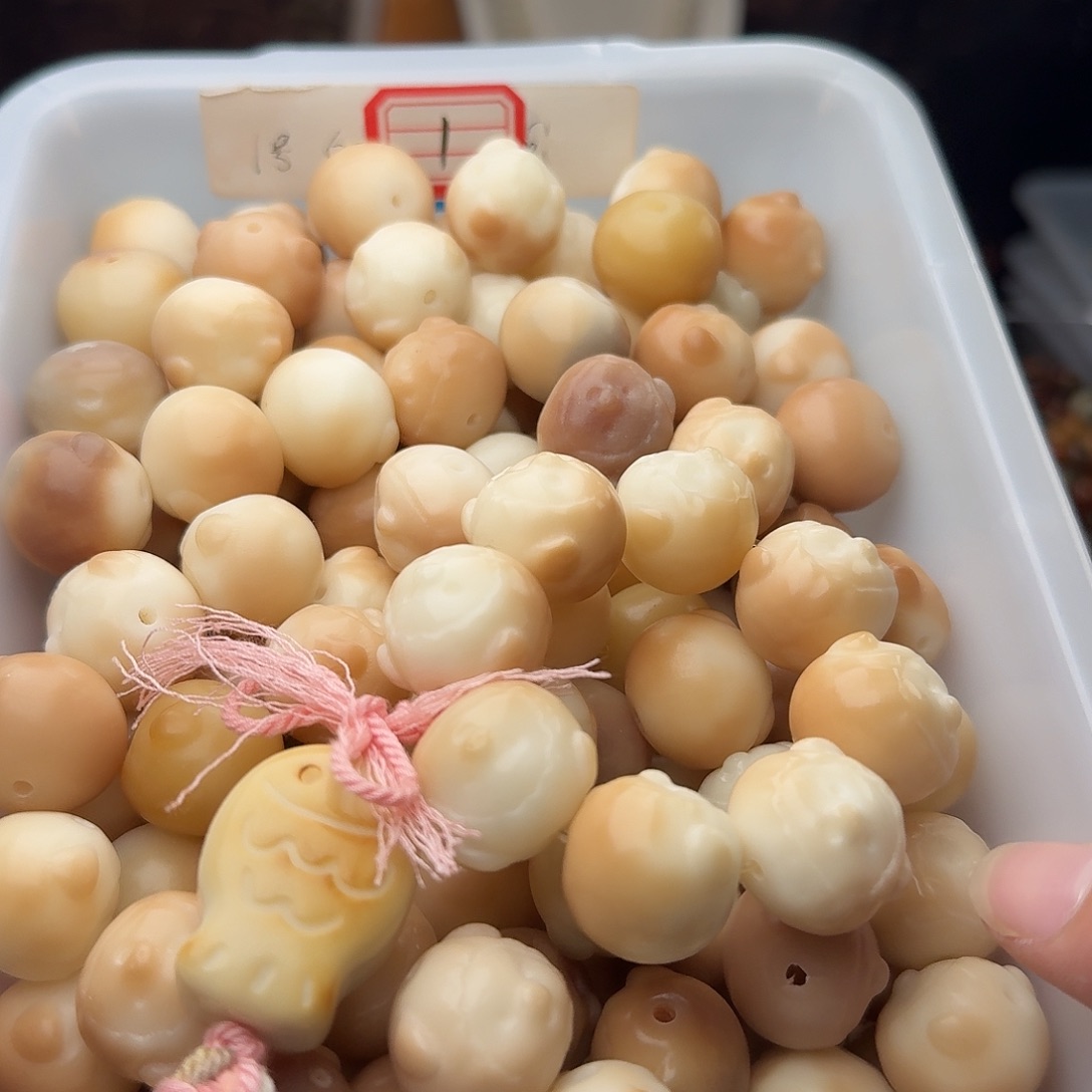 吊坠菩提根/象牙果15 颗菩提小猪 20