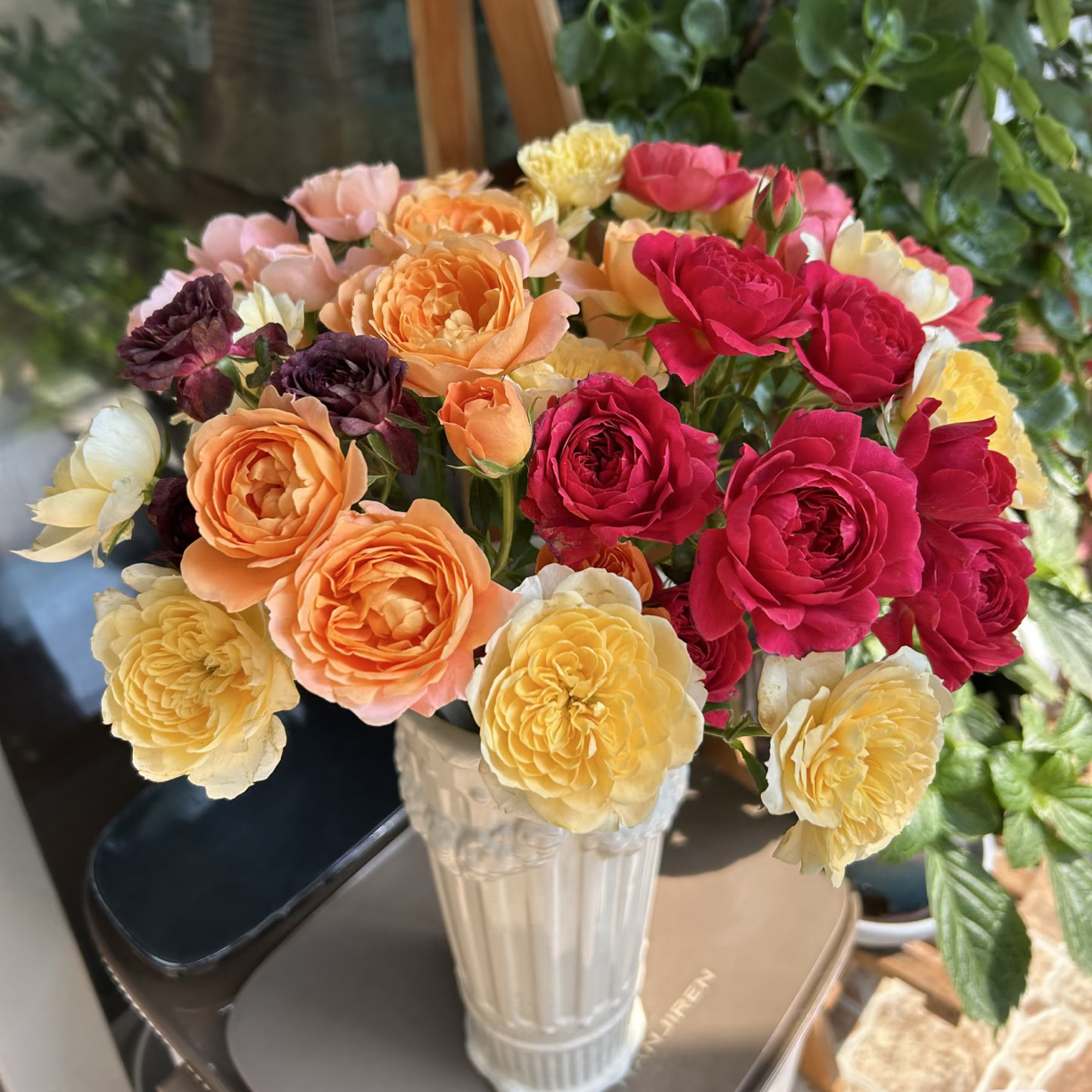 「嘤嘤怪鲜花」彩色果汁玫瑰花物语云南直发顺丰包邮