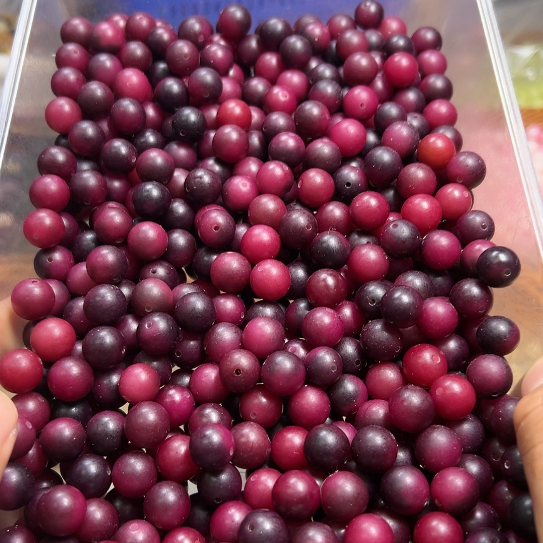 菩提根/象牙果吊坠100颗紫色圆珠12