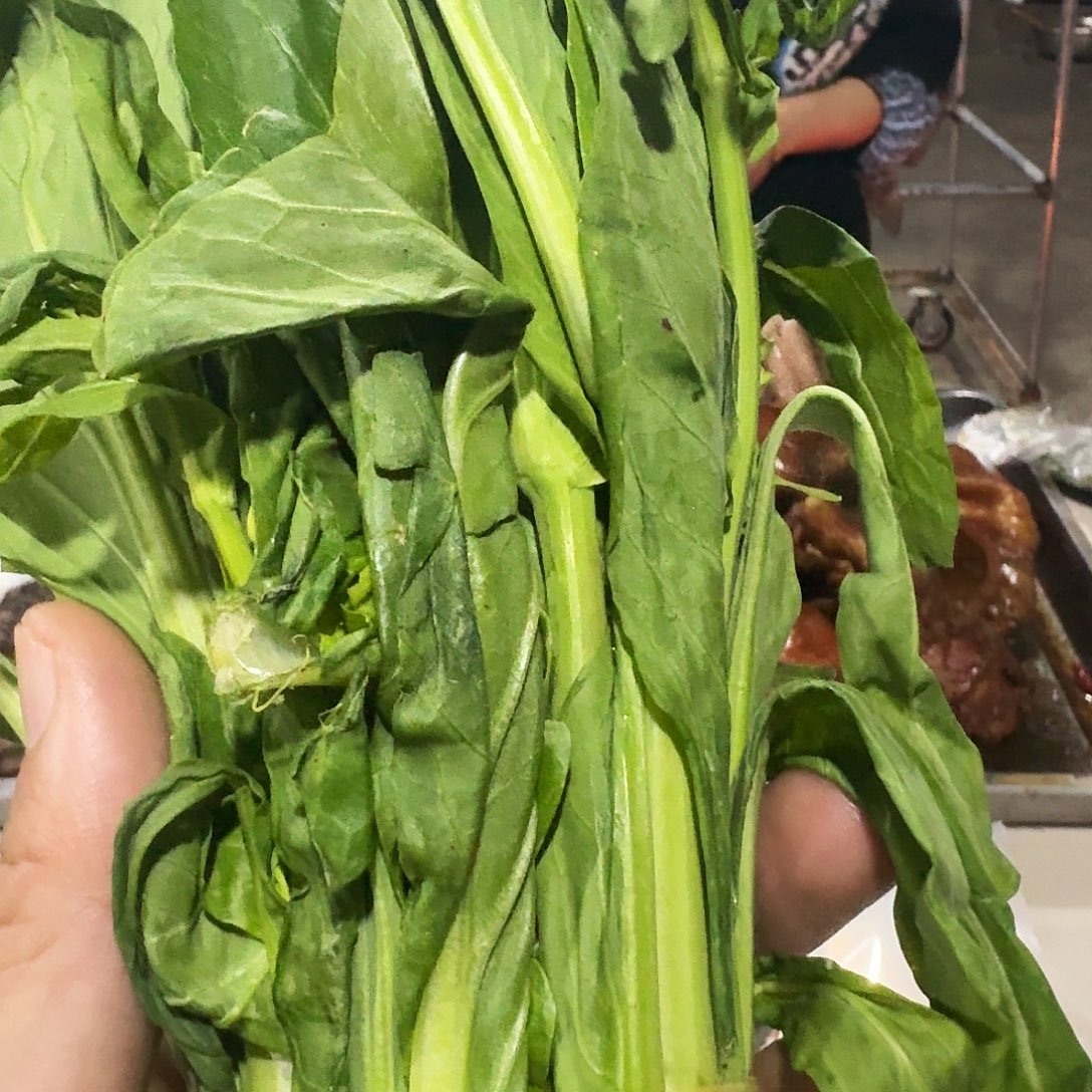 萍***逄白菜中国大陆青菜