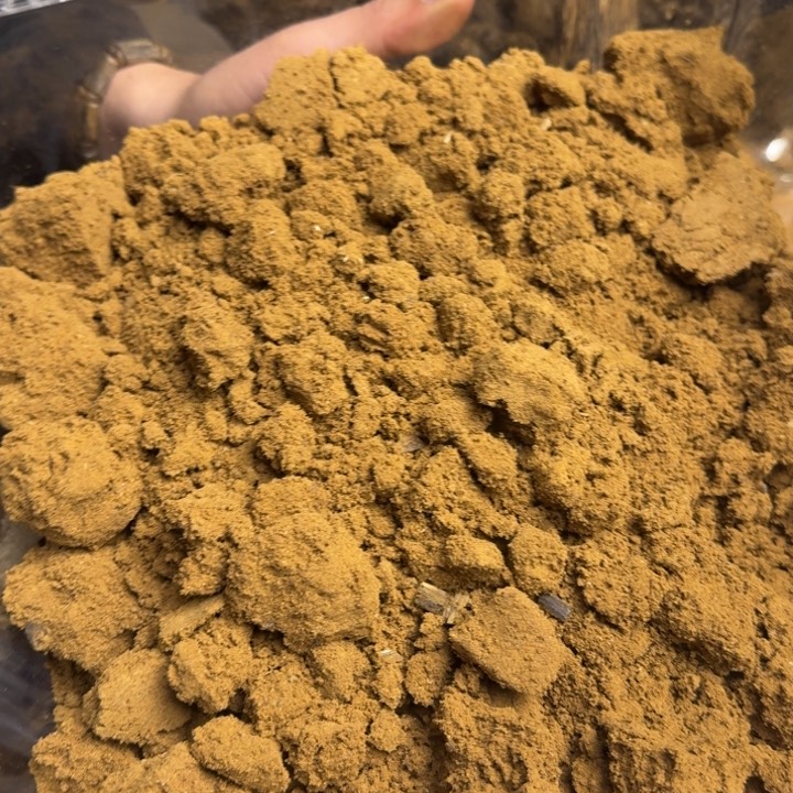 沉香沉香碎屑豆*陆河沉水粉500克➕多样性发货