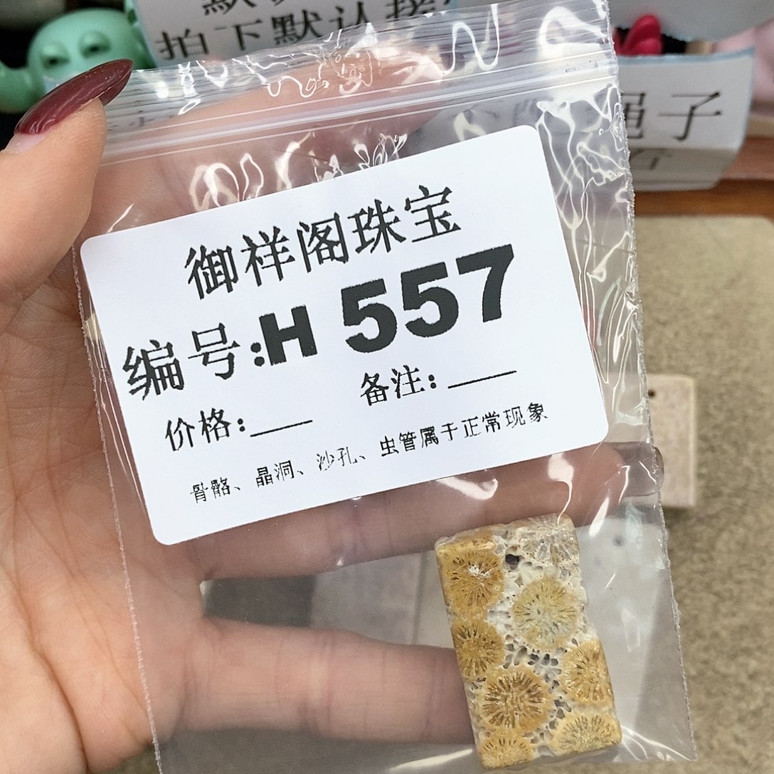硅化珊瑚（珊瑚玉）H未镶嵌暴***.