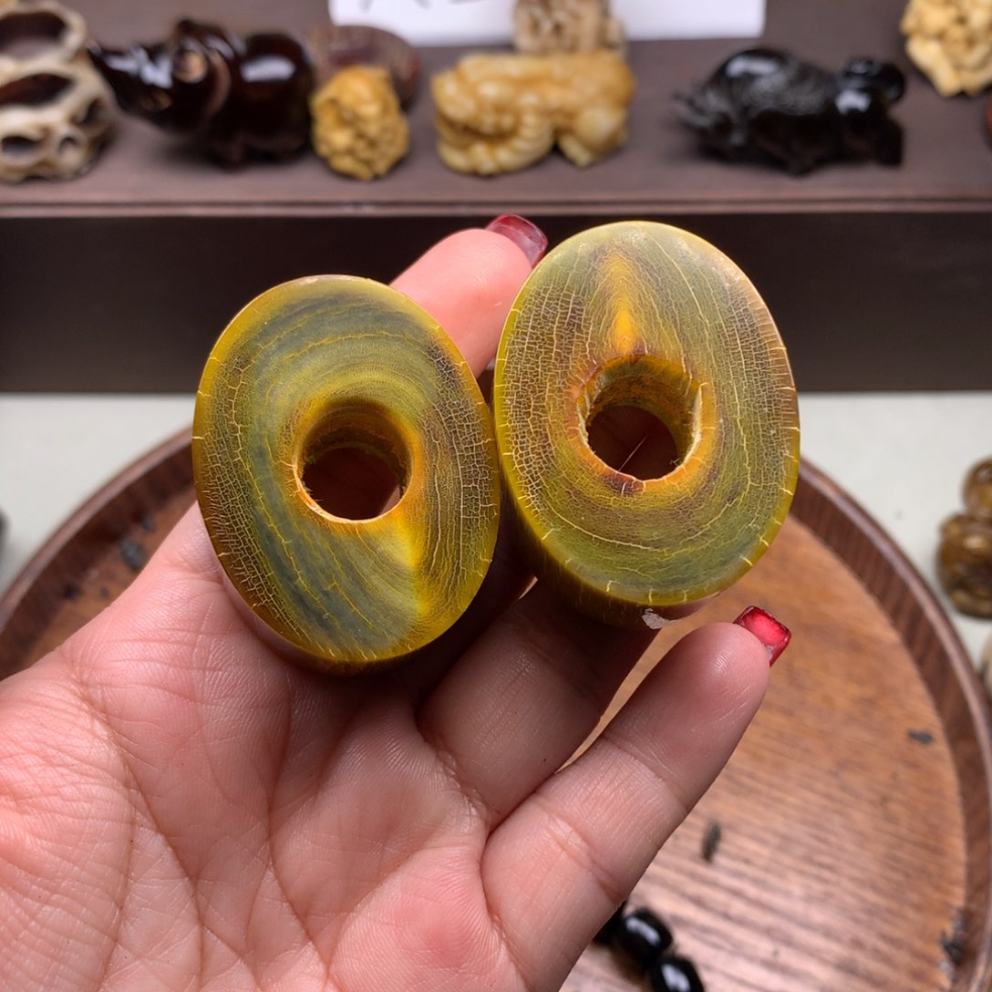 驼骨其他好看牛角