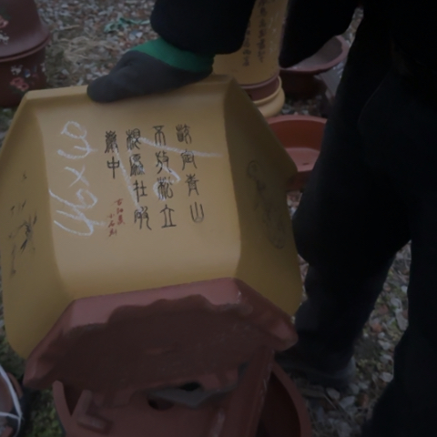 红陶紫砂花盆盆景盆栽