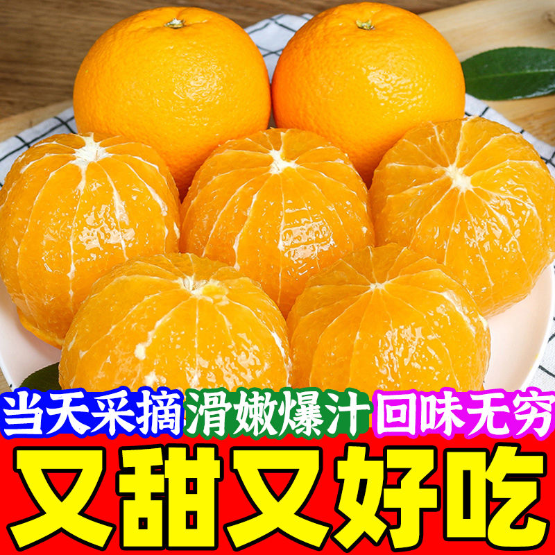 【坏果包赔】正宗麻阳冰糖橙新鲜甜橙子当季现摘现发新鲜水果小二