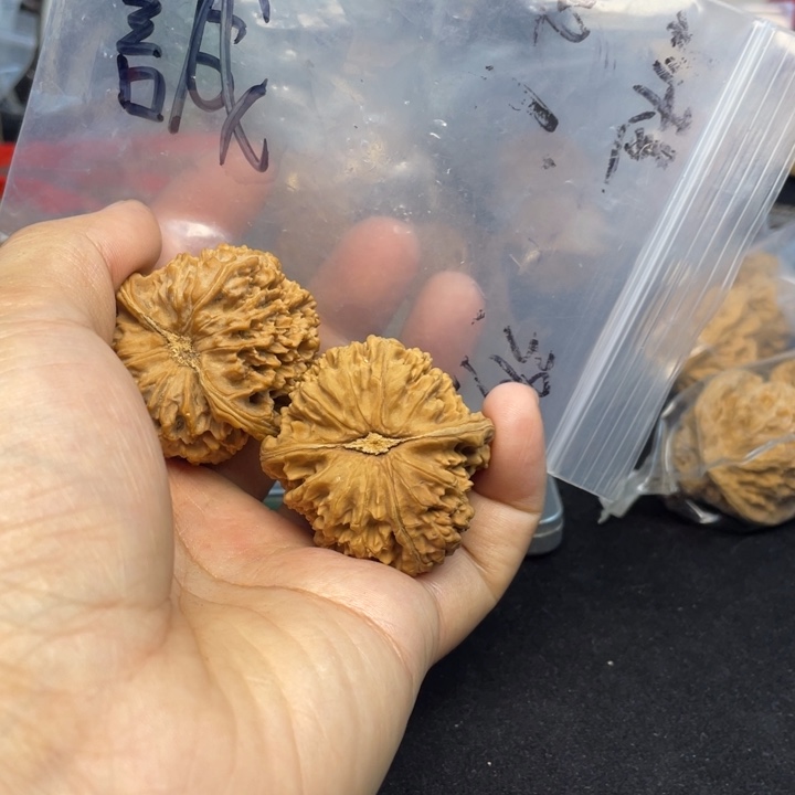 文玩核桃把件誠*满天星