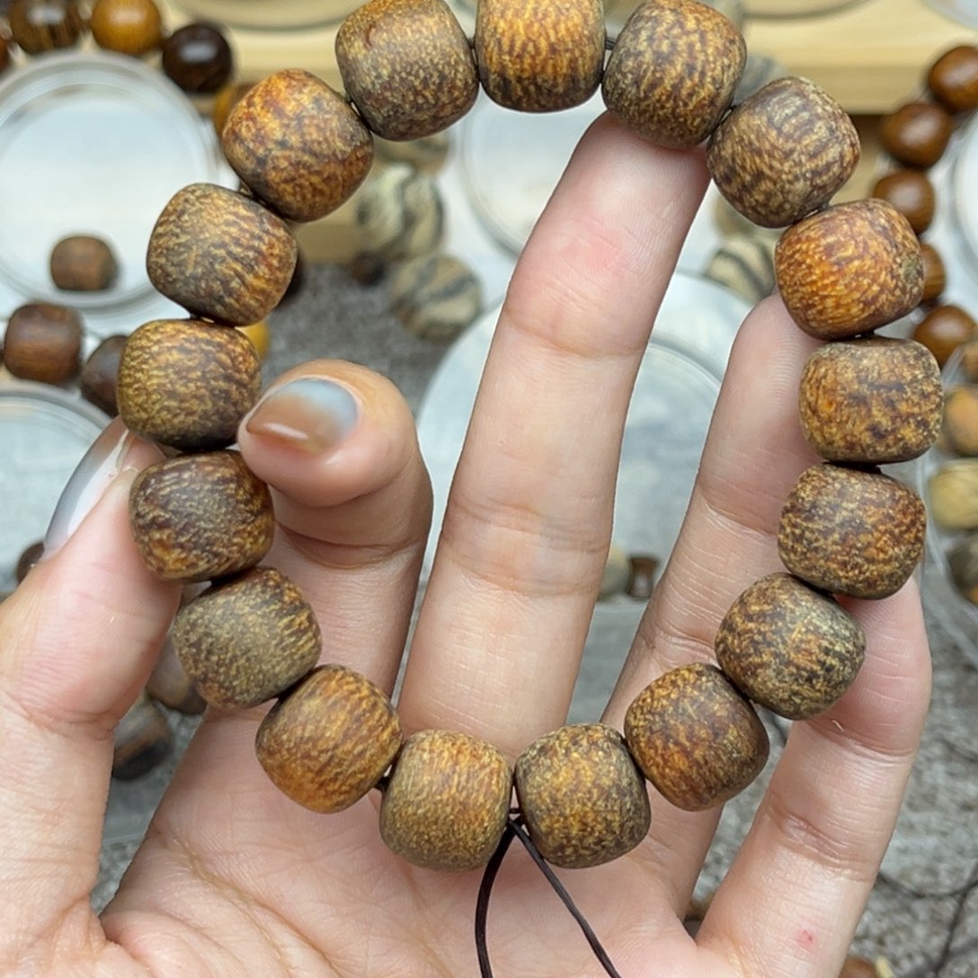 高***龙贡木印尼12/13满龙鳞