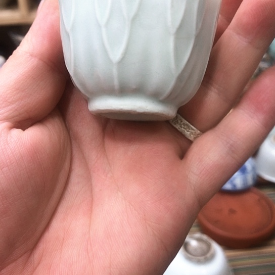 杯11111111111111111111111