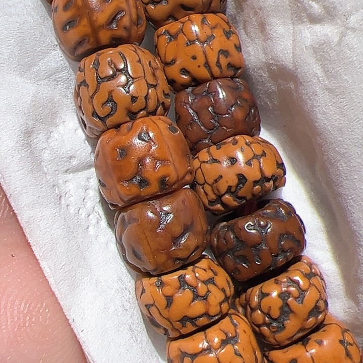 香榧木在这里的时候