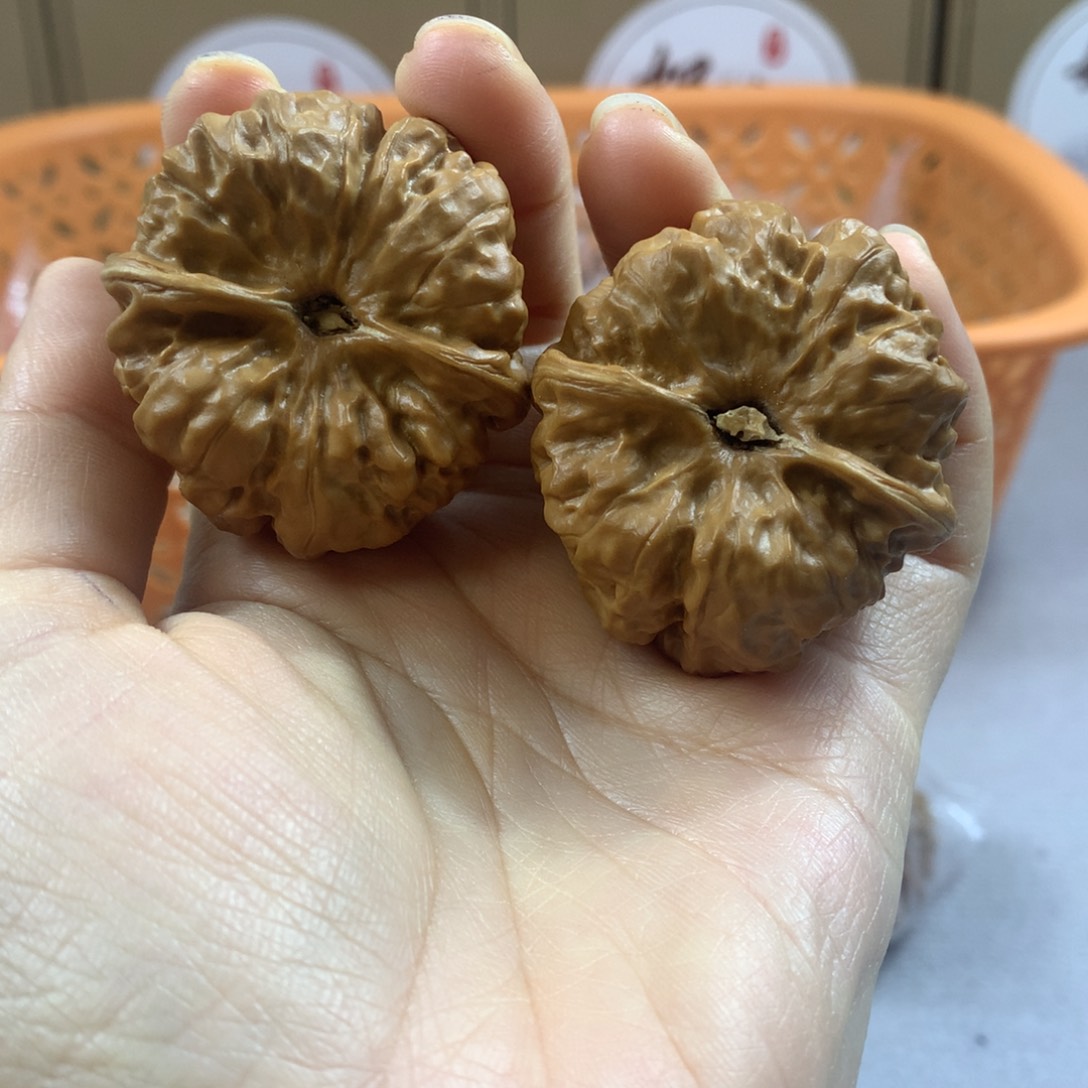 借**天文玩核桃蛤蟆头42