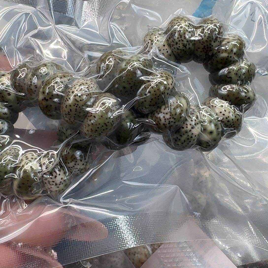 星月菩提手串104快乐