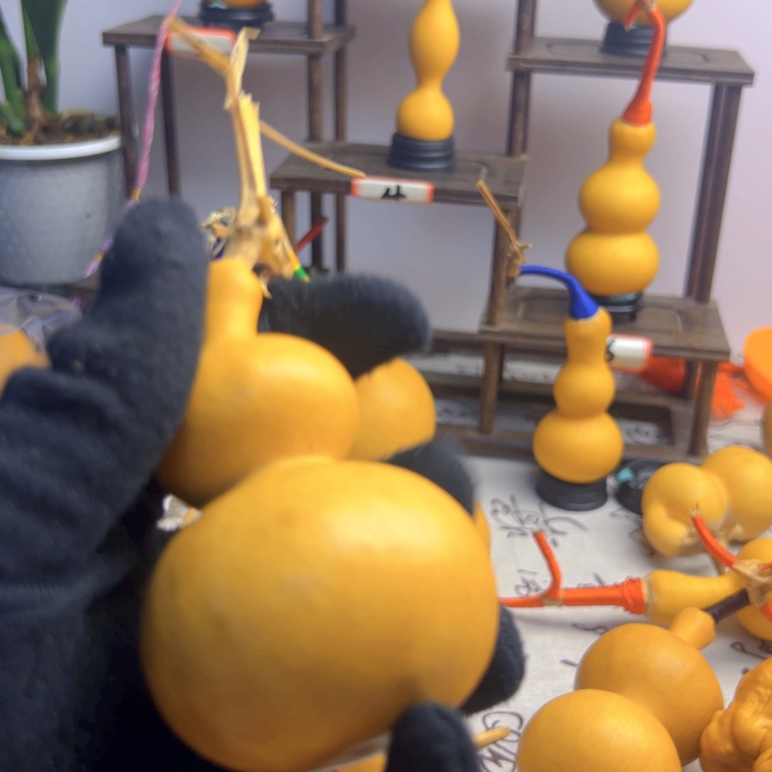 葫芦葫芦葫芦葫芦葫芦