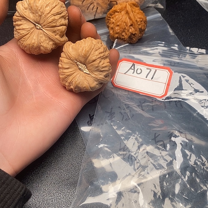 555555566966666666666666