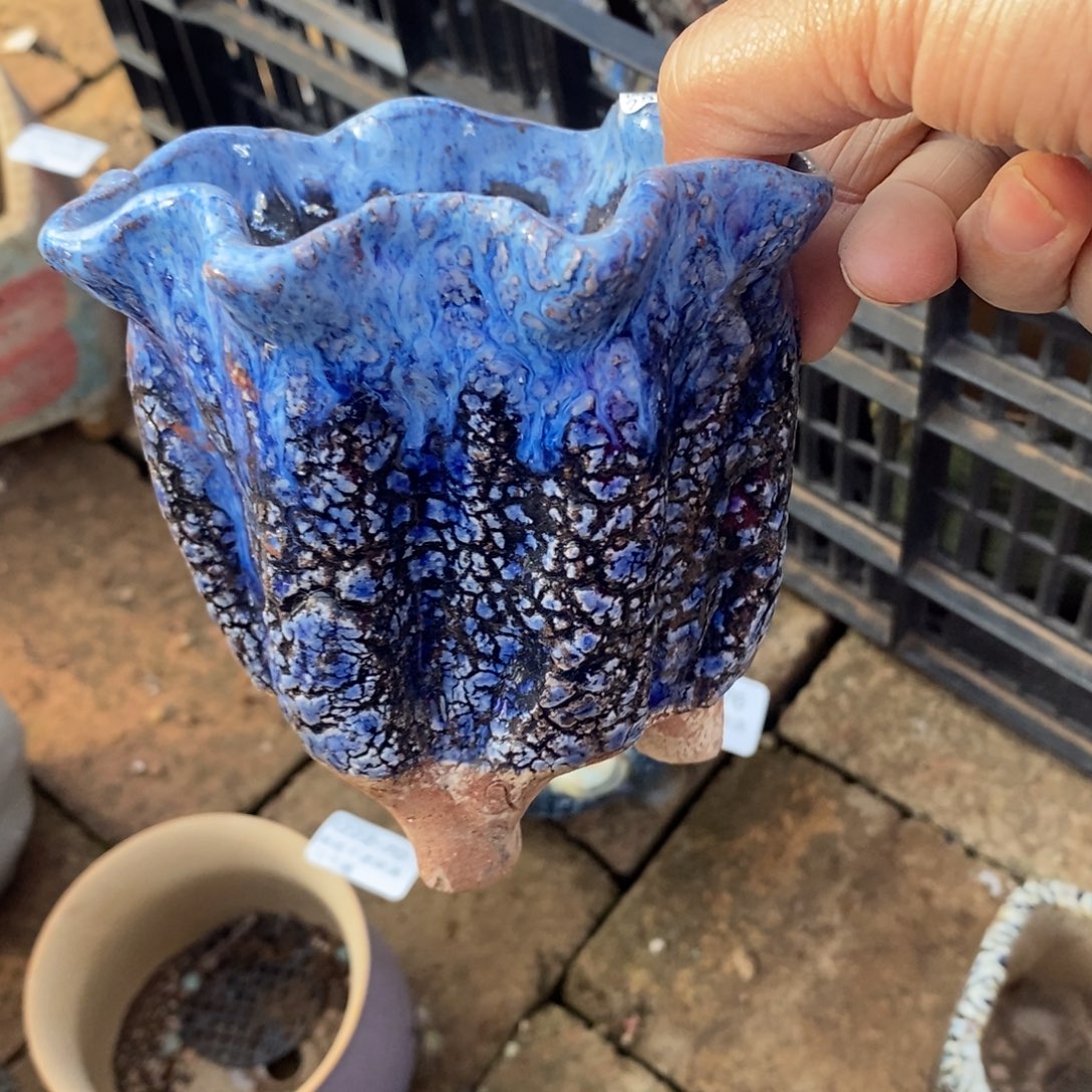 84号多肉盆口径9厘米