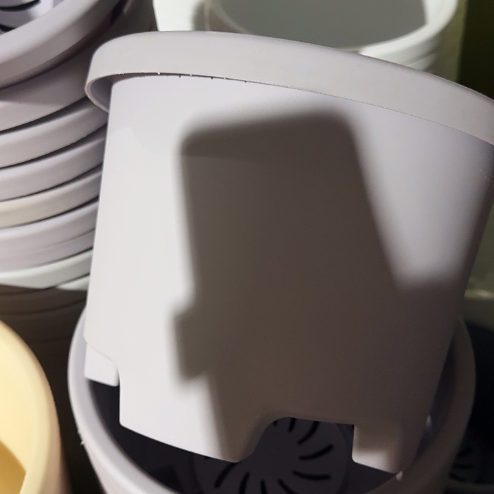 球根盆3号灰白无托6个